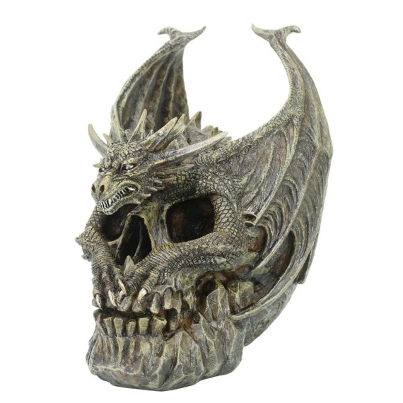 Draco Dragon Skull / Nouveautés